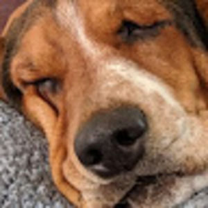 Meet your Posher, Rachael